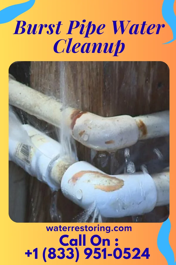 Burst Pipe Water Cleanup in Williamsport, PA