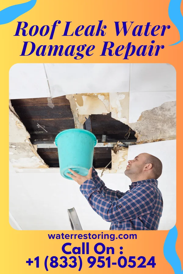 Roof Leak Water Damage Repair in Williamsport, PA